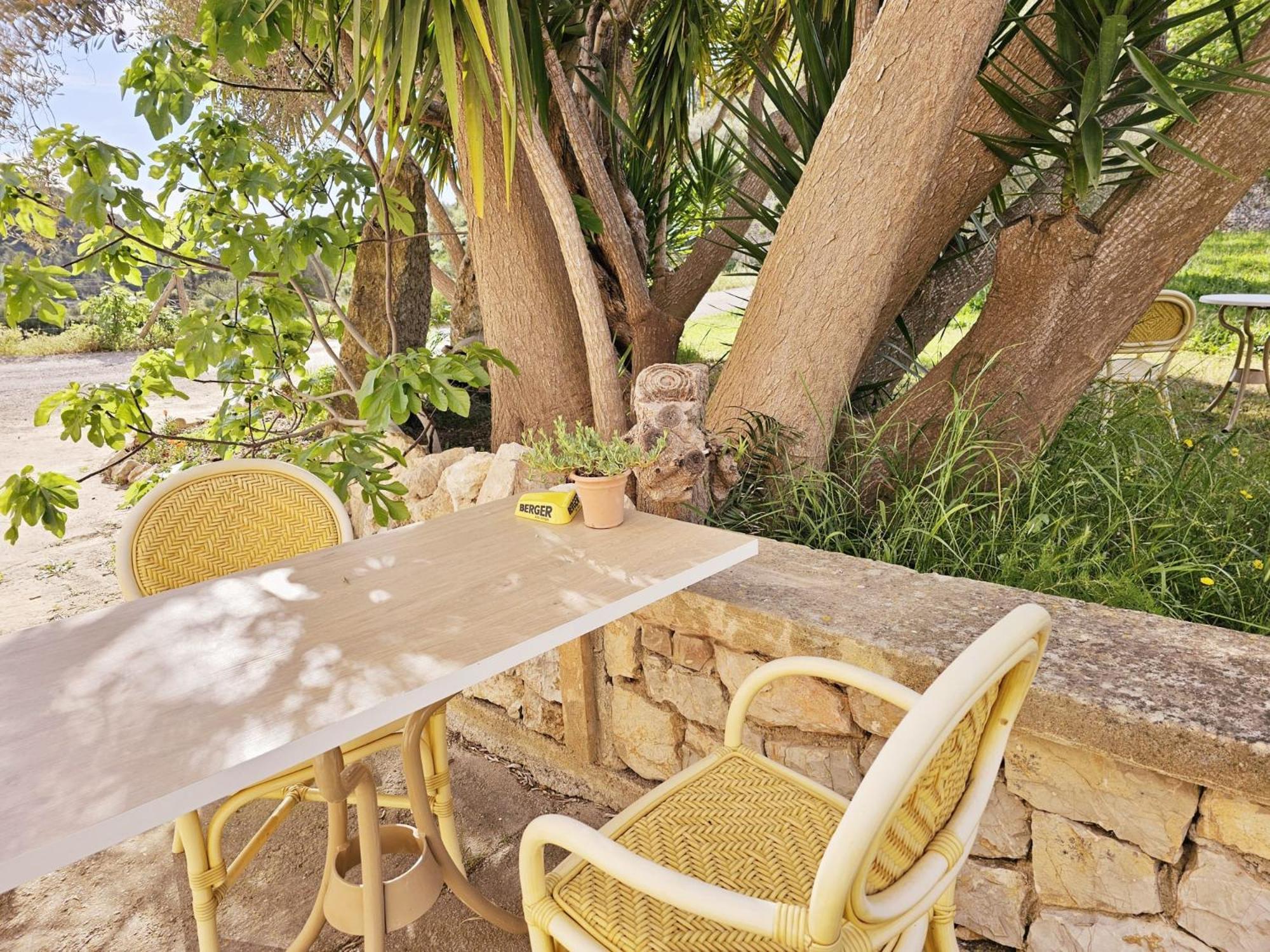 Agroturismo Finca Can Sec, SL Alaró Cameră foto